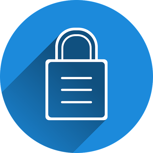 EDV -und IT-Sicherheit. Ein Sicherheitsschloss mit einem Kreisförmigen und blauen Hintergrund.
